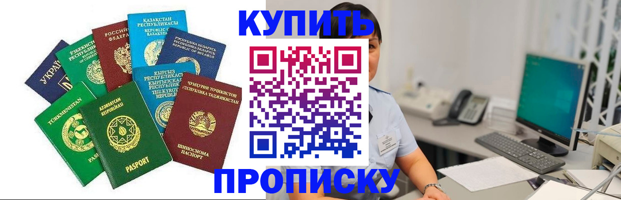 прописка в Кольчугино